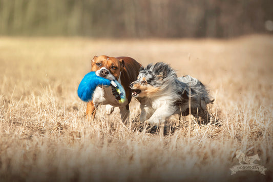 Doggie-Zen Elastisk Ring Fuskepels