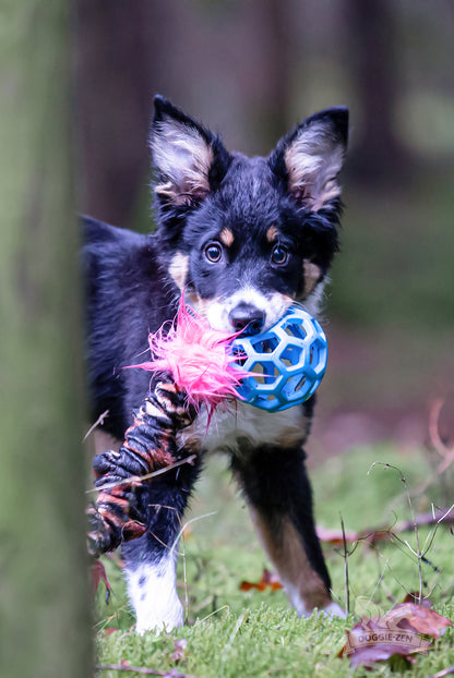 Doggie-Zen Knitrende JW Hol-ee