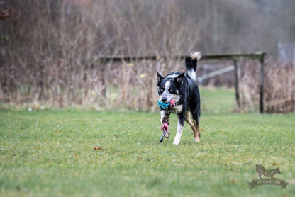 Doggie-Zen Knitrende JW Hol-ee