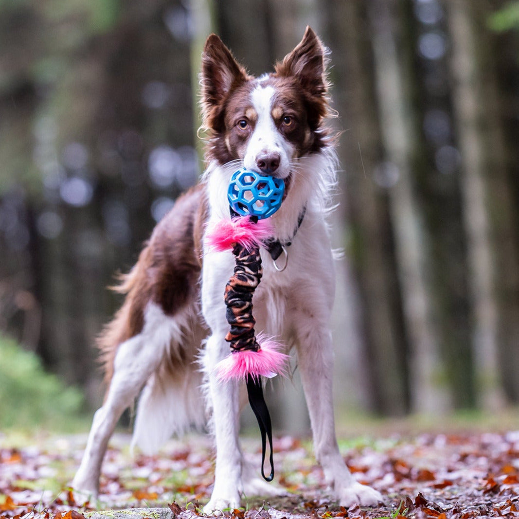 Doggie-Zen Knitrende JW Hol-ee