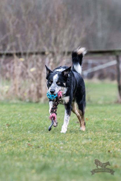 Doggie-Zen Knitrende JW Hol-ee