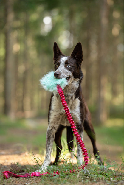 Doggie-Zen Belønningslomme med knitring og langt tau Medium