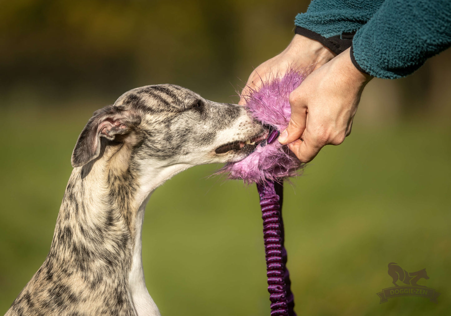 Doggie-Zen Belønningslomme med knitring og langt tau Medium