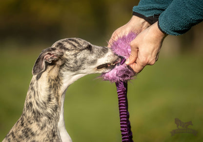 Doggie-Zen Belønningslomme med knitring og langt tau Medium