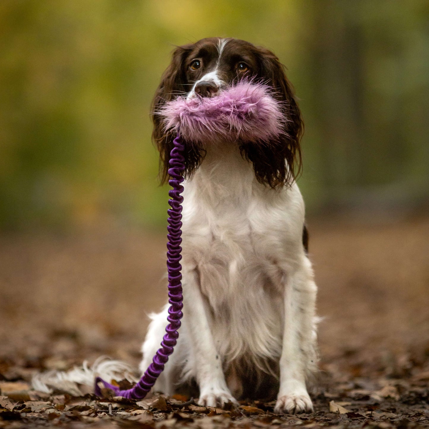 Doggie-Zen Belønningslomme med knitring og langt tau Medium