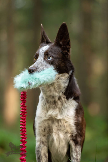 Doggie-Zen Belønningslomme med knitring og langt tau Medium