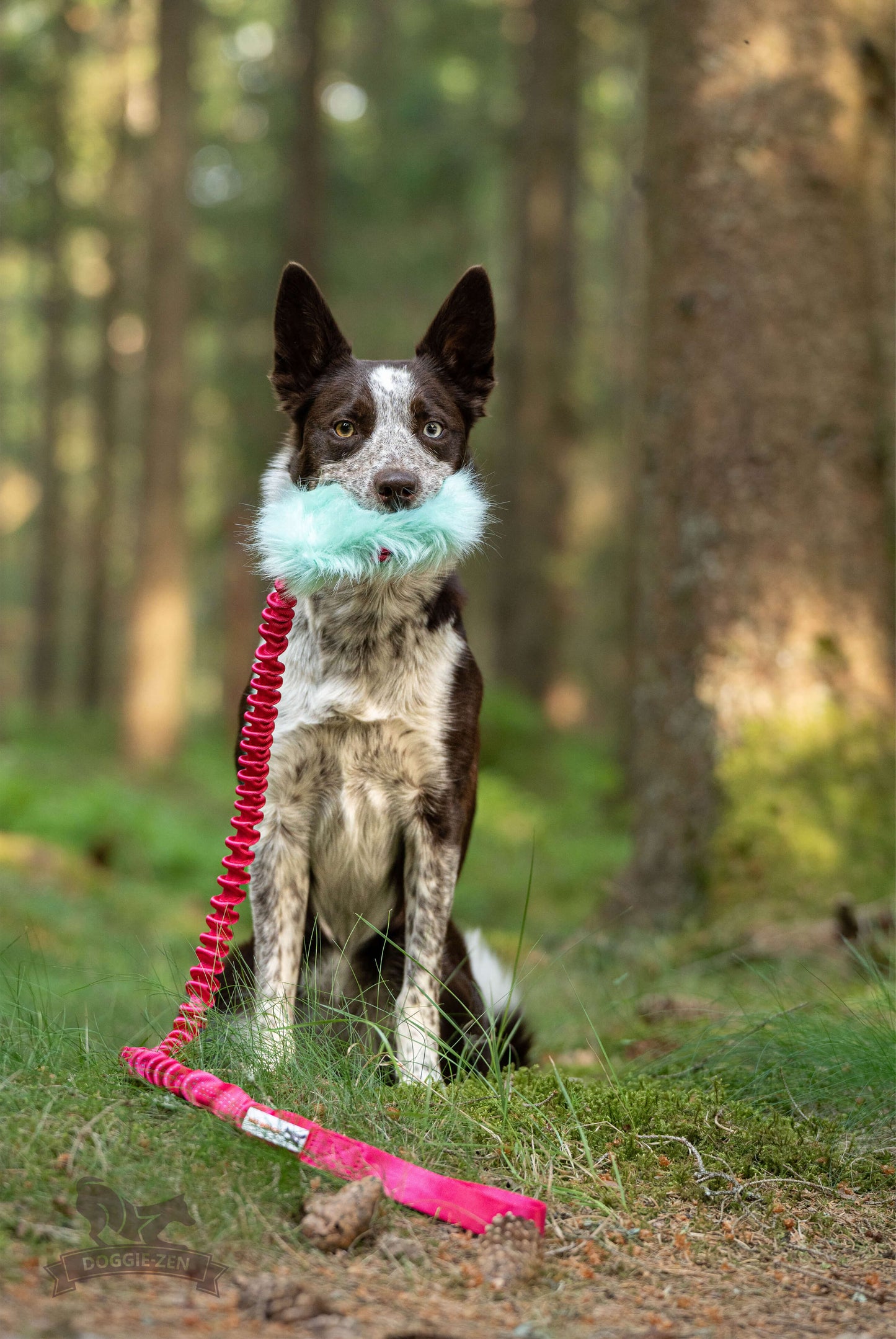 Doggie-Zen Belønningslomme med knitring og langt tau Medium