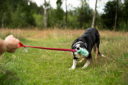 Doggie-Zen Belønningslomme med knitring og langt tau Medium