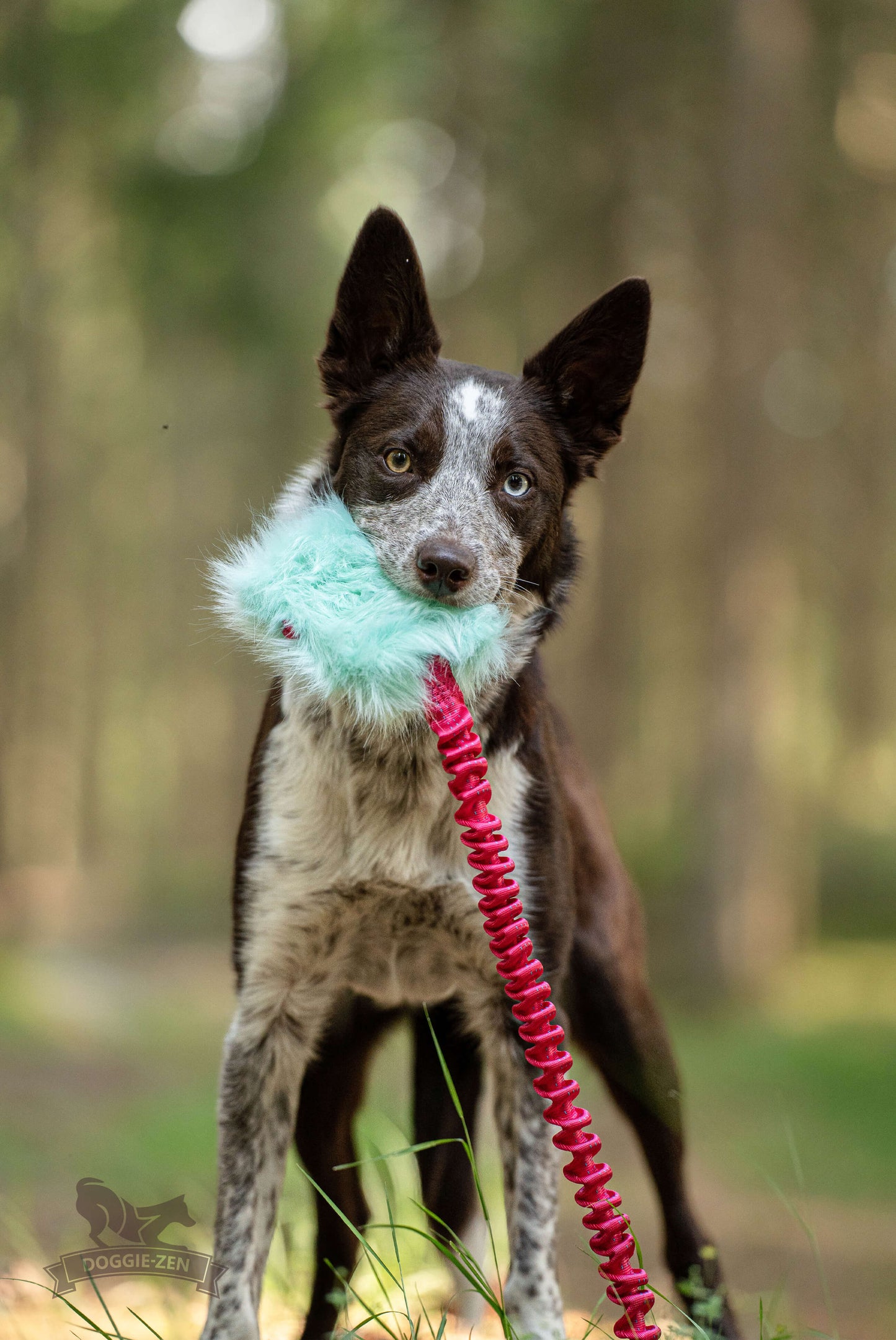 Doggie-Zen Belønningslomme med knitring og langt tau Medium