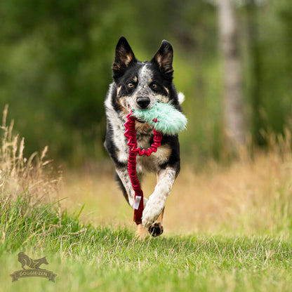 Doggie-Zen Belønningslomme med knitring og langt tau Medium