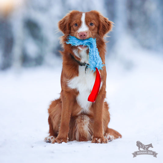 Doggie-Zen Lommeleke med pip