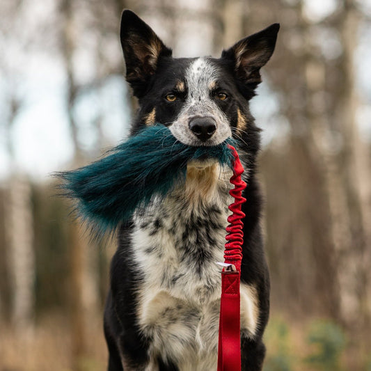 Doggie-Zen Draleke med fuskepels