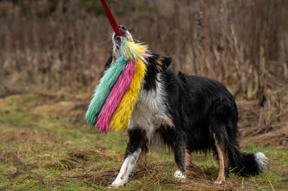 Doggie-Zen Monster Blekksprut