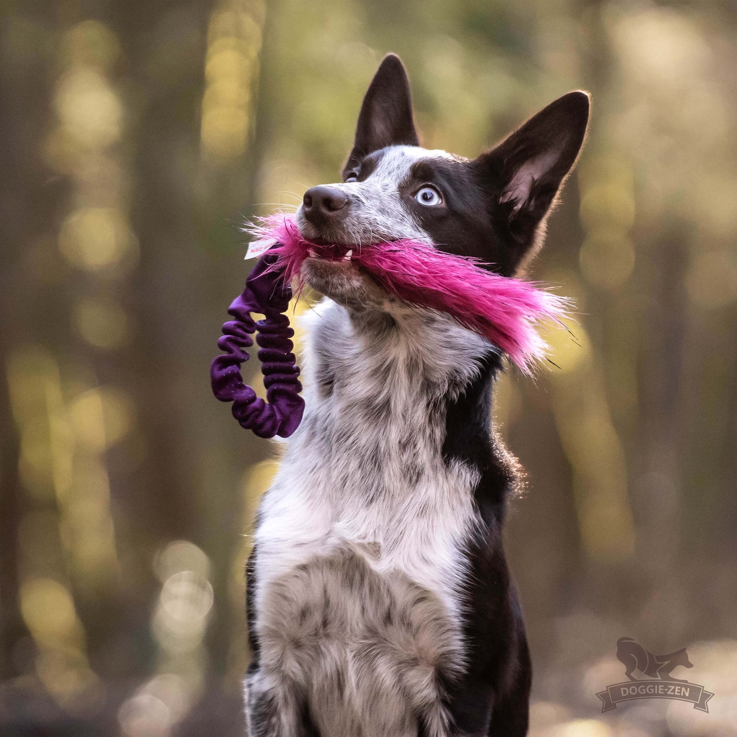 Doggie-Zen Den Lille Lommeleken