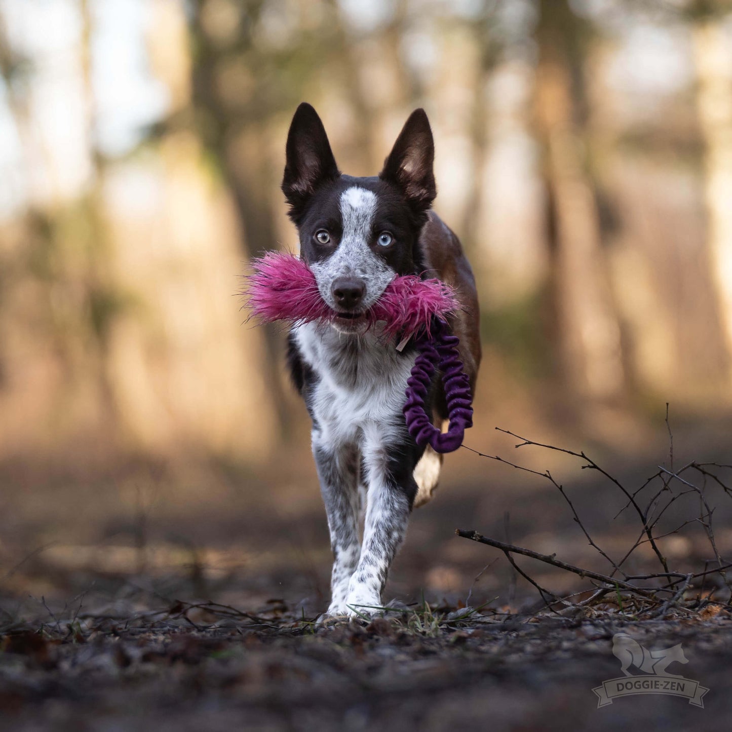 Doggie-Zen Den Lille Lommeleken