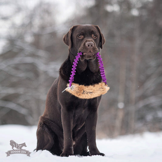 Doggie-Zen Elastisk Ring Kanin