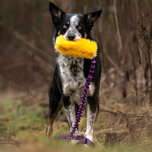 Doggie-Zen Belønningslomme med langt tau